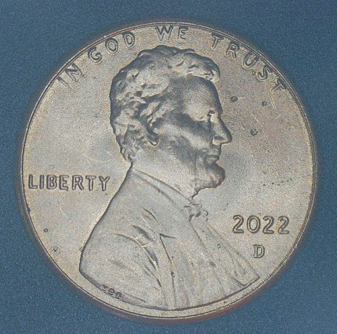2022-D-LSC-Double-Ear